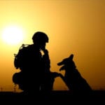 A Dog's Purpose from a Soldier's Perspective